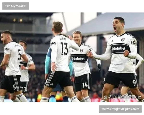 水晶宫，与伦敦球队的德比大战